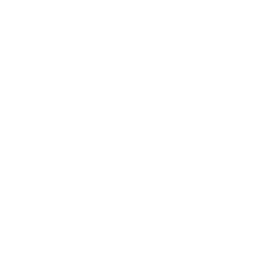 NPD-Coin-Icon
